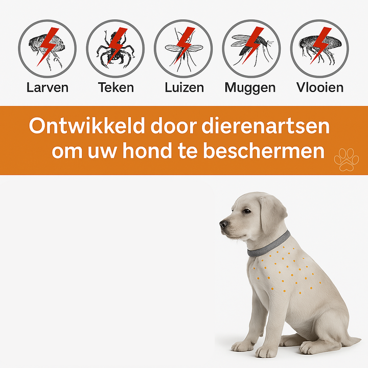 Vlooienhalsband⢠Nooit meer last van vlooien!