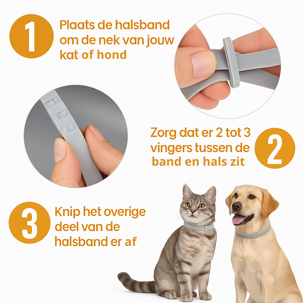 Vlooienhalsband⢠Nooit meer last van vlooien!