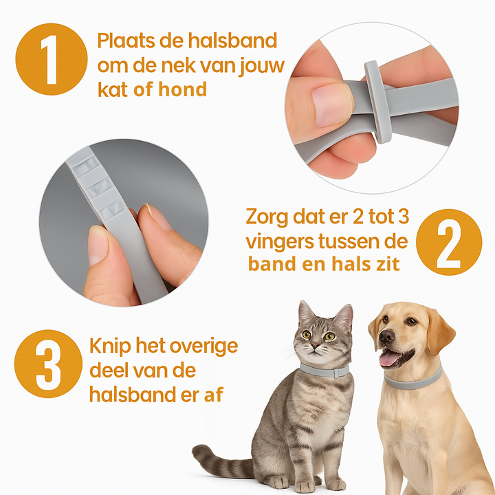 Vlooienhalsband⢠Nooit meer last van vlooien!