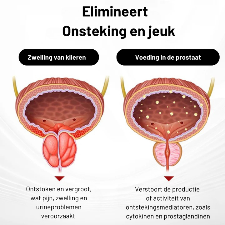 Ballenkracht™ Inhaler | Direct Terug Zelfvertrouwen