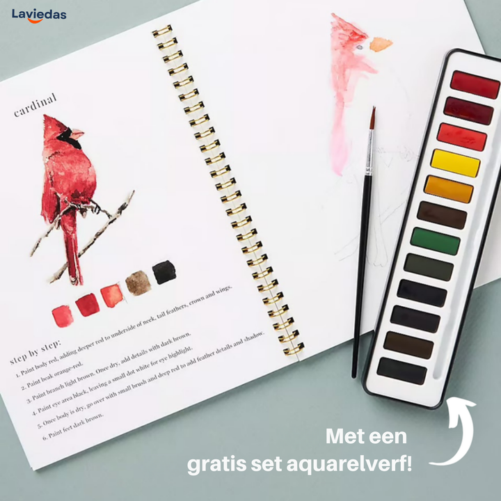 Coloria™ Creativiteit met Waterverf & Altijd plezier