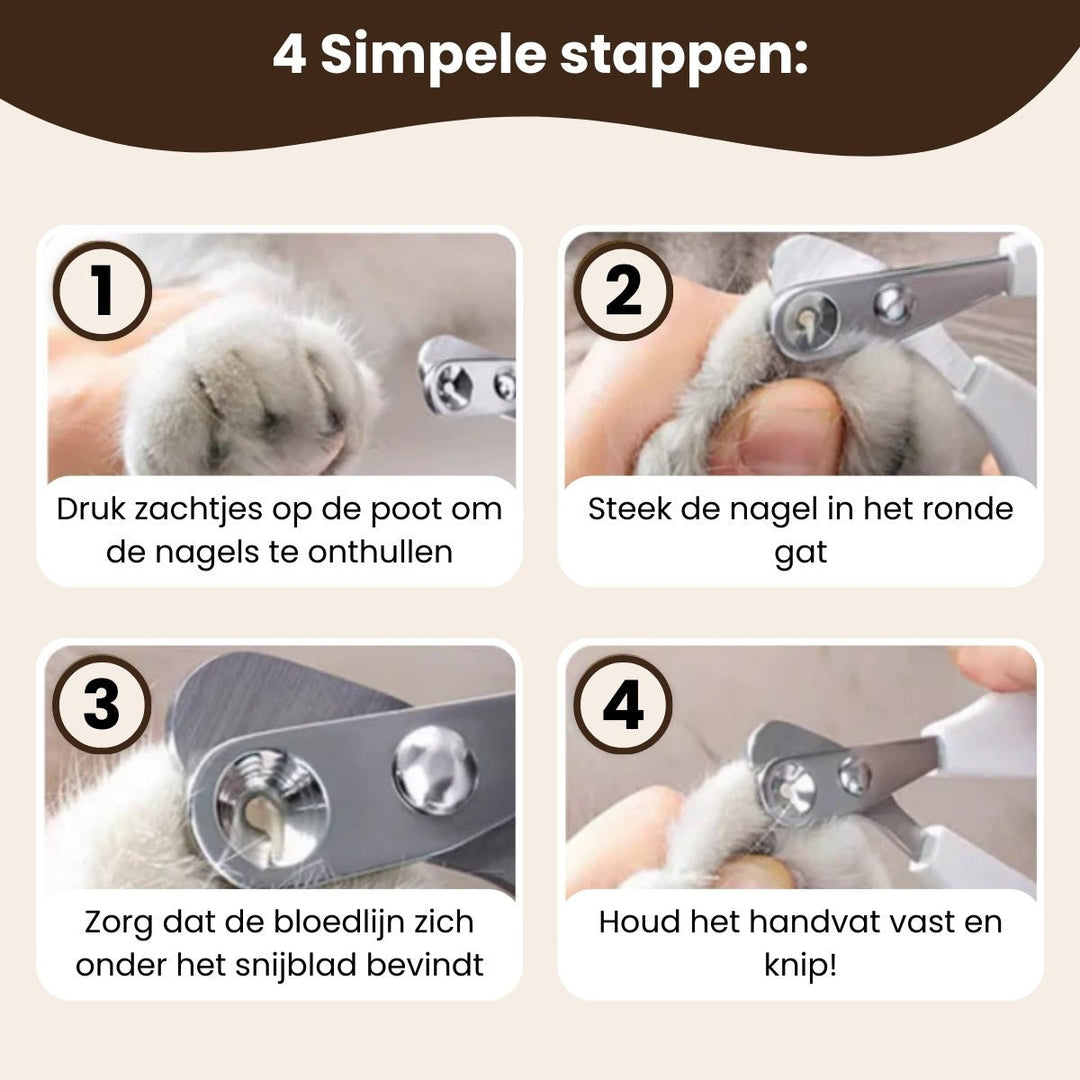 Veilige Nagelschaar