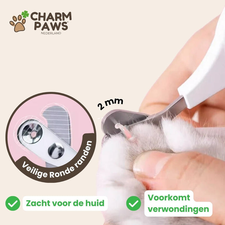 Veilige Nagelschaar