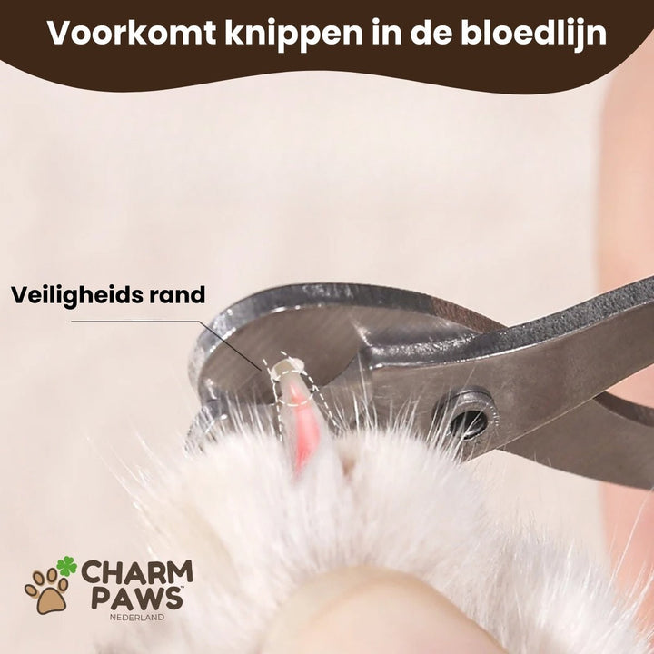 Veilige Nagelschaar
